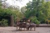 Deutschland-Berliner-Zoo-2013-130506-DSC_0093.jpg