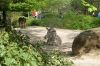Deutschland-Berliner-Zoo-2013-130506-DSC_0257.jpg