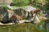 Deutschland-Berliner-Zoo-2013-130506-DSC_0341.jpg