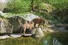 Deutschland-Berliner-Zoo-2013-130506-DSC_0342.jpg
