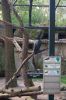 Deutschland-Berliner-Zoo-2013-130506-DSC_0165.jpg