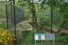Deutschland-Berliner-Zoo-2013-130506-DSC_0176.jpg