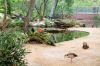 Deutschland-Berliner-Zoo-2013-130506-DSC_0205.jpg